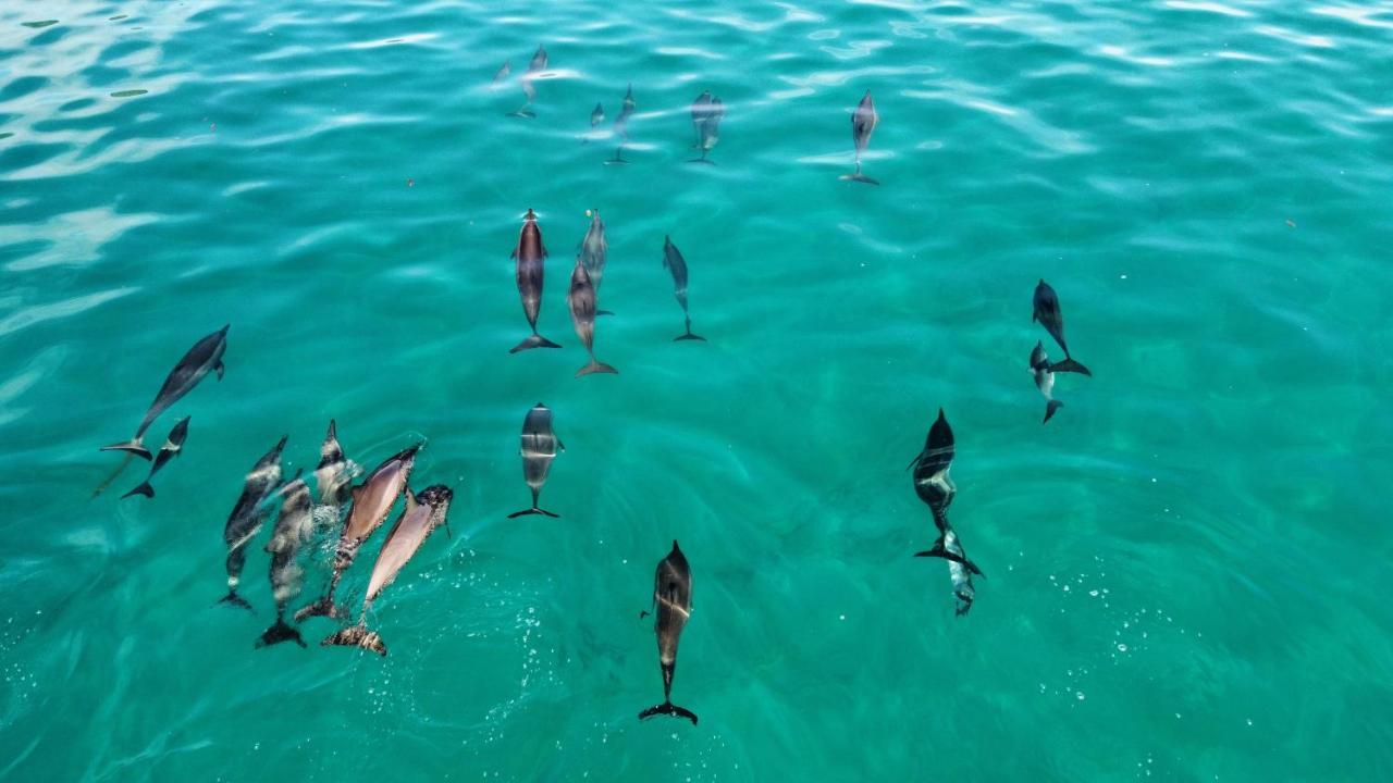 Superbe Bord De Mer, Acces Lagon Et Piscine Privee Paea Exterior foto
